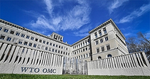 wto se ky niem 24 nam thanh lap voi nhieu thach thuc hon