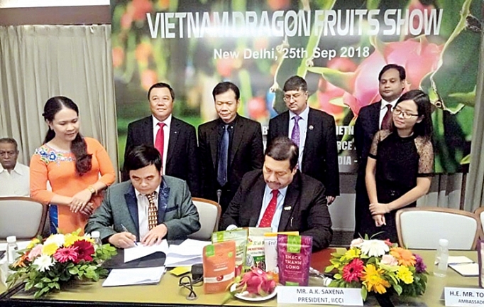 Thương mại Việt Nam - Ấn Độ: Dư địa hợp tác lớn thuong mai viet nam an do du dia hop tac lon