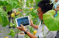 Ứng dụng công nghệ blockchain: Định vị thương hiệu nông sản