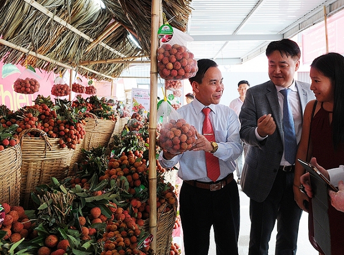 vai thieu viet nam duoc xuat khau vao thi truong nhat ban canh cua da mo