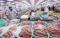 Năm 2020: 4 giải pháp lớn của ngành thủy sản