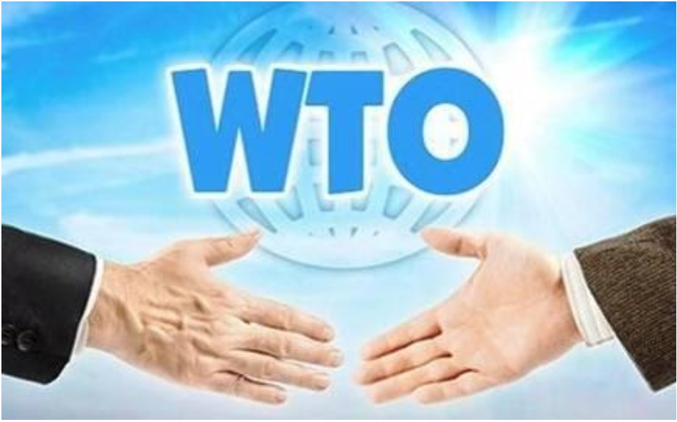 WTO: 25 năm thách thức và khủng hoảng wto 25 nam thach thuc va khung hoang