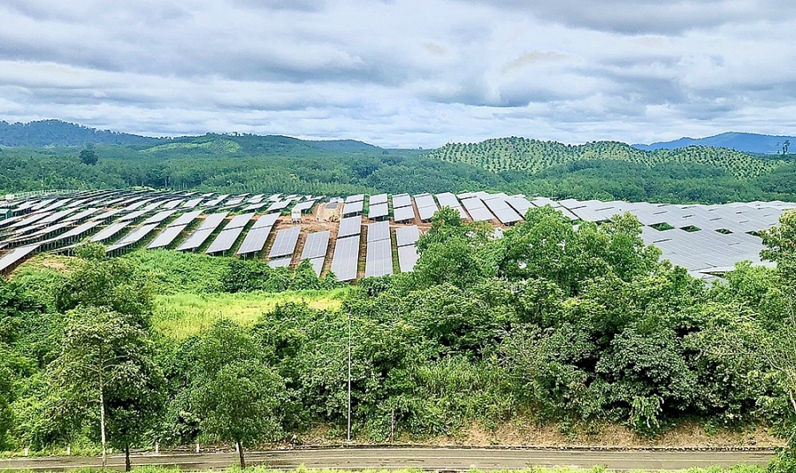 3953-nha-may-yiyn-myt-tryi-se-san-4