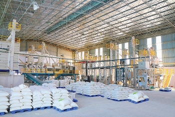 Kỳ tích gạo Việt