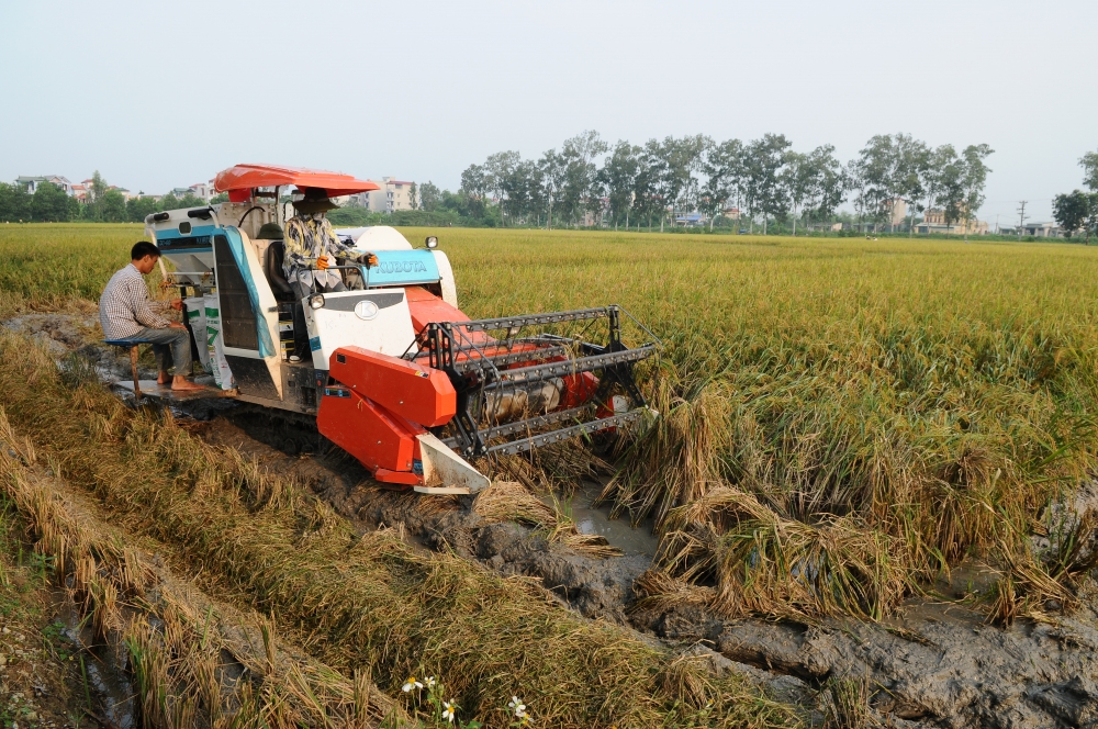 nong nghiep dat chin rong khoi sac voi tai co cau va ung dung 40