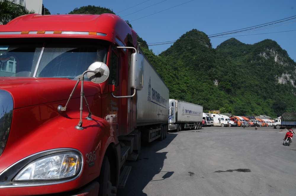 tim giai phap can co dam bao san xuat xuat khau nong san