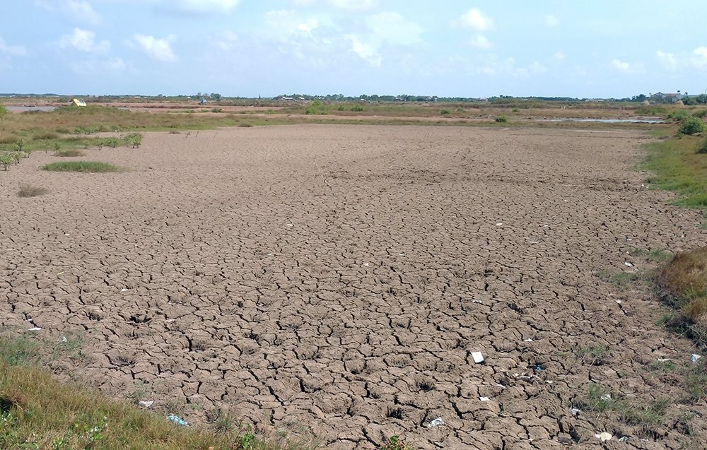 dong bang song cuu long sang tao ung pho han man