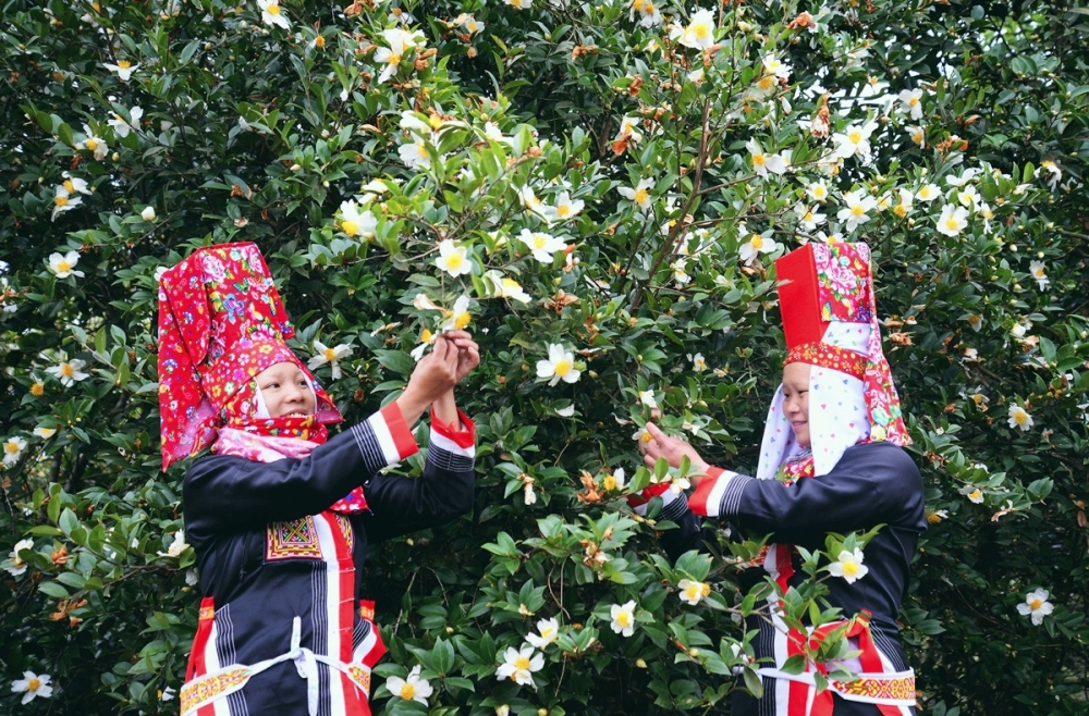 co mot binh lieu niu chan nguoi
