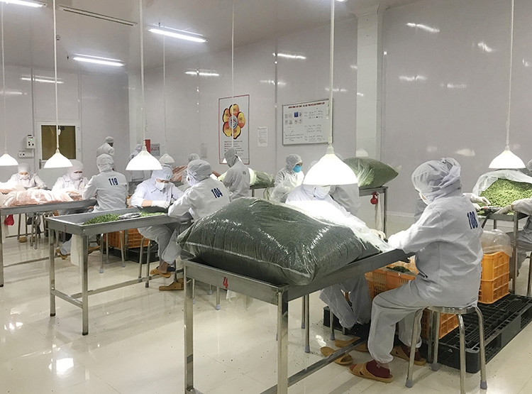 Khuyến công Lâm Đồng: Hiệu quả từ hình thức hỗ trợ vốn có thu hồi khuyen cong lam dong hieu qua tu hinh thuc ho tro von co thu hoi