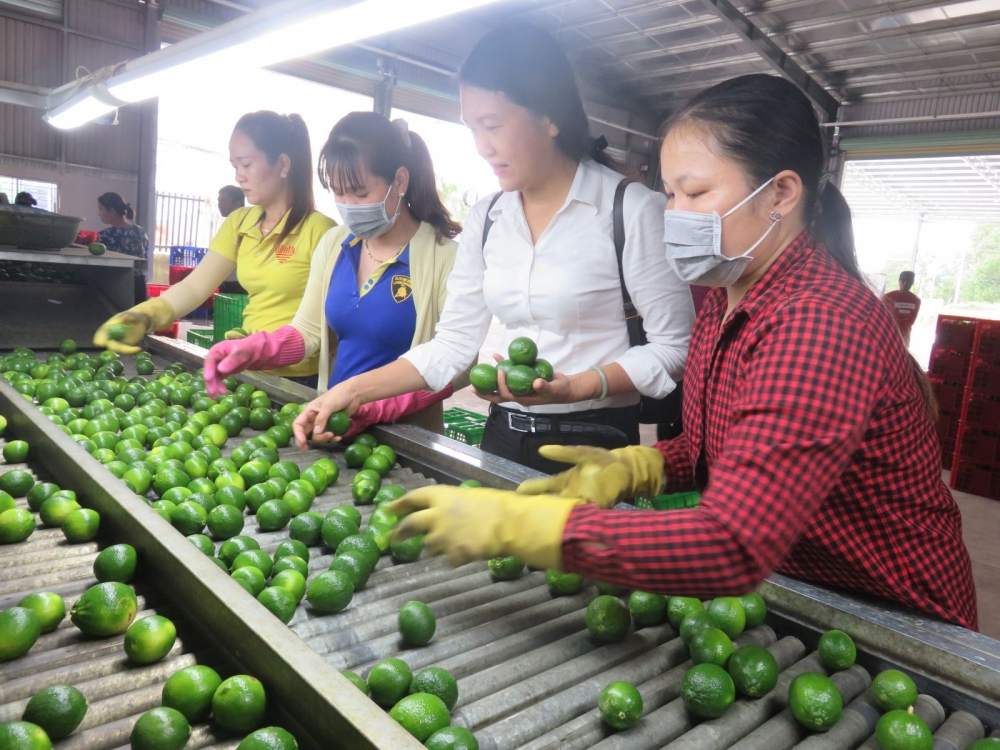 Long An gắn kết các cơ sở công nghiệp nông thôn long an gan ket cac co so cong nghiep nong thon