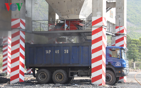 nhung tan than dau tien ra lo dau nam 2017 hinh 3