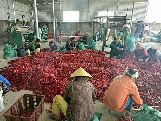 trung quoc siet tieu ngach hang viet tuot doc