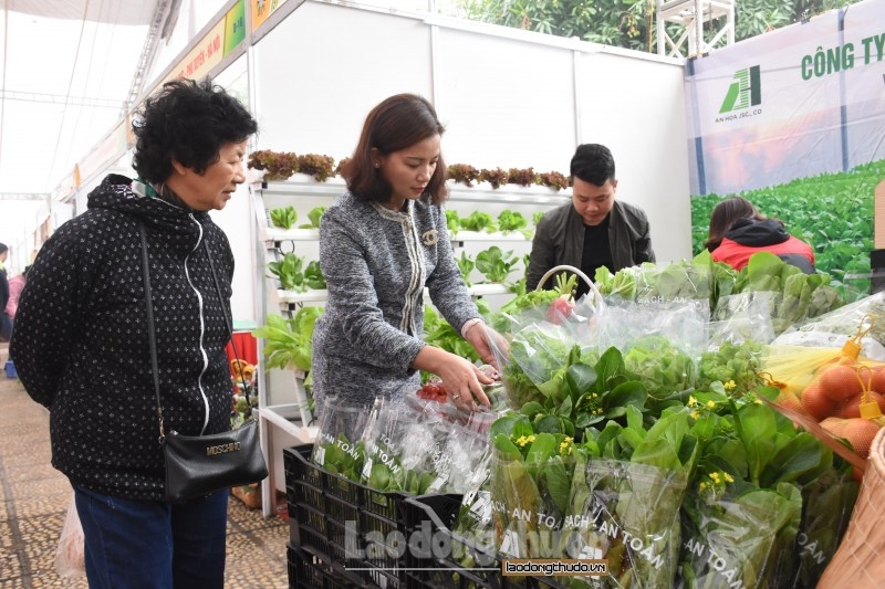 hieu qua tu viec xay dung chuoi thuc pham nong san an toan