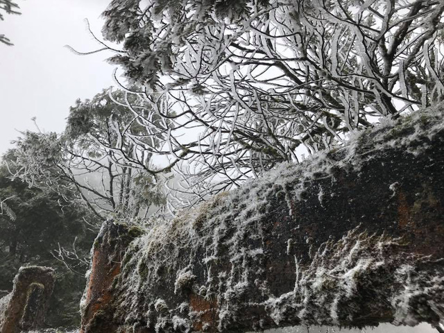 Băng tuyết phủ trắng khu vực đèo Ô Quý Hồ (Sa Pa) sáng nay (Ảnh bạn đọc Đỗ Nguyên cung cấp cho Dân trí).