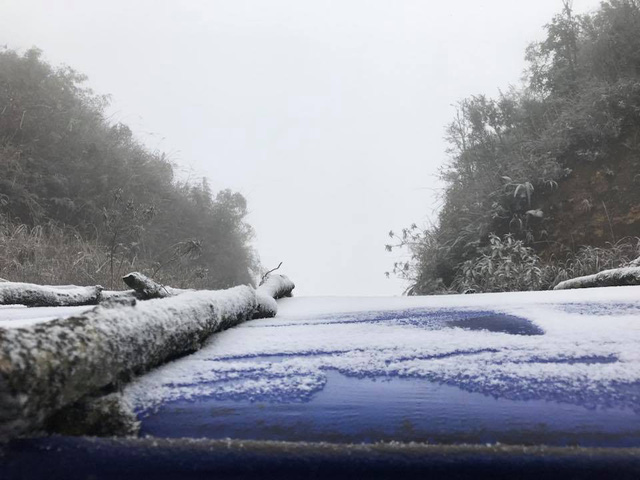 Tuyết phủ trắng ở Sa Pa.