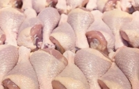 Xuất khẩu gia cầm của Mỹ chuyển hướng khỏi Trung Quốc do Covid-19