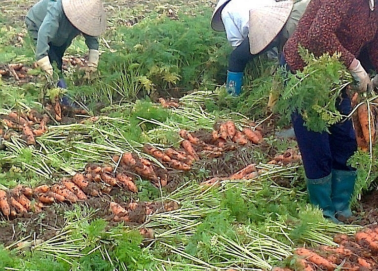 Doanh nghiệp sẽ được lợi nhiều khi tham gia Chương trình 1322