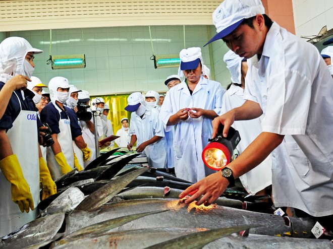 Ca ngu dai duong Viet Nam dat gia ky luc tai Nhat hinh anh 1