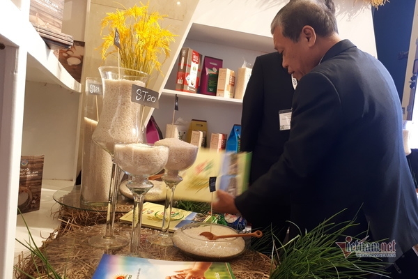 mo them cua sang eu the manh viet tang suc canh tranh voi thai