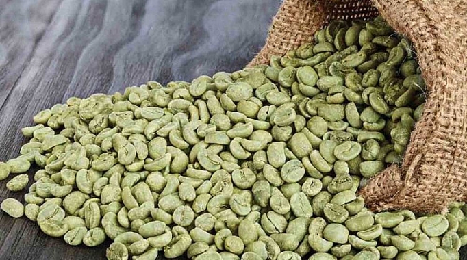 nhung nhom hang co tiem nang tang xuat khau sang algeria