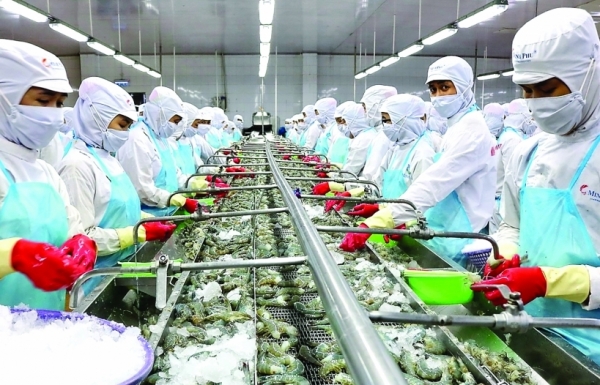 Thị trường Mỹ sẽ là cứu cánh cho xuất khẩu tôm Thị trường Mỹ sẽ là cứu cánh cho xuất khẩu tôm