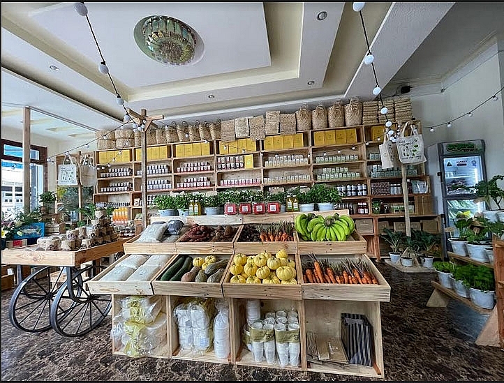 Hana Group – Startup về chuỗi giá trị du lịch và nông nghiệp sạch