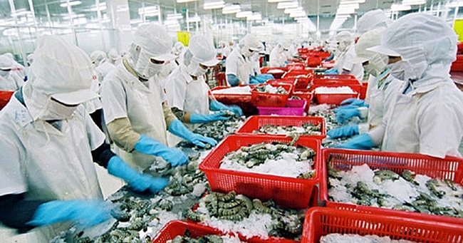 canh bao lua dao ve cong ty jilani international pakistan