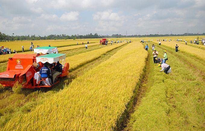 Tiếp tục đề xuất miễn thuế đất nông nghiệp để phát triển kinh tế tiep tuc de xuat mien thue dat nong nghiep de phat trien kinh te
