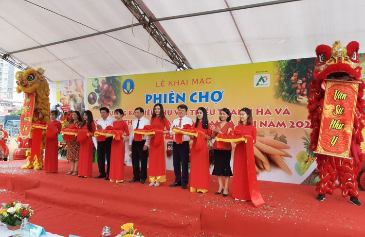 Khai mạc phiên chợ quảng bá, tiêu thụ vải thiều Thanh Hà và nông sản, thực phẩm an toàn tại Hà Nội khai mac phien cho quang ba tieu thu vai thieu thanh ha va nong san thuc pham an toan tai ha noi