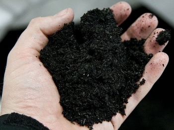 Ứng dụng than sinh học trong phát triển nông nghiệp