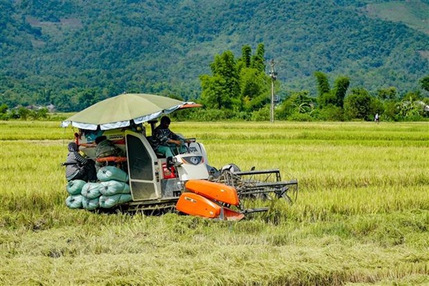 Toa dam ket noi doanh nghiep nong nghiep Viet Nam-Hoa Ky hinh anh 1