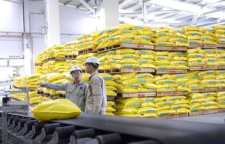 Thực thi thành công Chiến lược phát triển bền vững và chặng đường phát triển