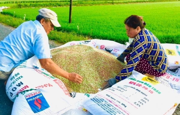 Xây dựng thuế suất thuế suất khẩu phù hợp cho phân bón Xây dựng thuế suất thuế suất khẩu phù hợp cho phân bón