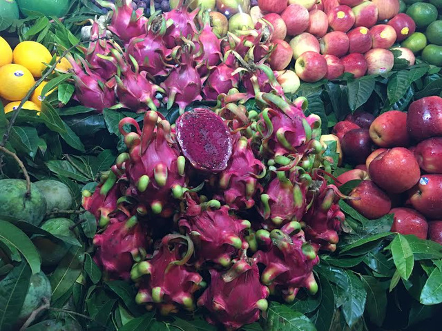 Nhưng giá bán tại thị trường Hà Nội vẫn đắt gấp 20-30 lần giá thanh long thu mua tại các nhà vườn ở miền Nam