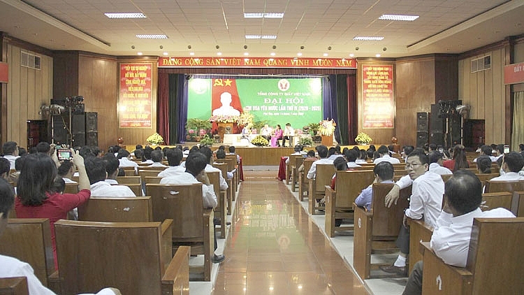 undefined 4828 giay 1