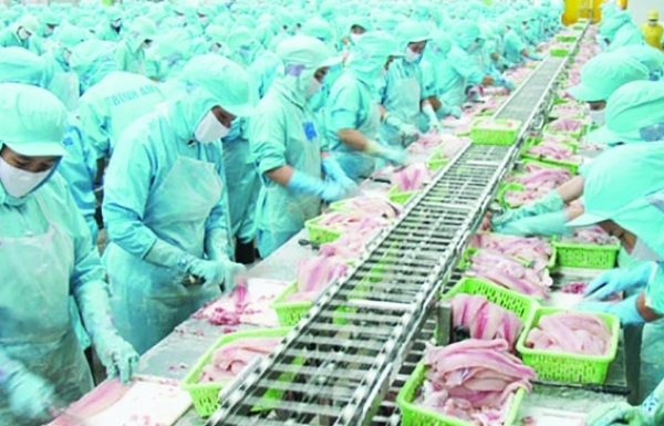 Xuất khẩu thủy sản: Sau tăng trưởng là khó khăn Xuất khẩu thủy sản: Sau tăng trưởng là khó khăn