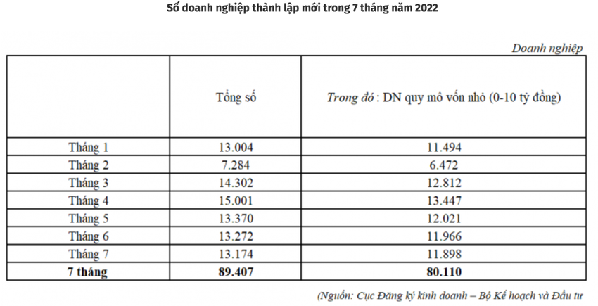 Doanh nghiệp 'tí hon' quay trở lại hoạt động tăng mạnh ảnh 1