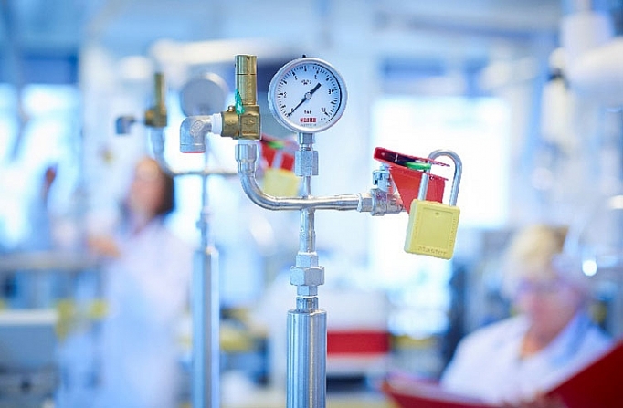 co gai ha lan 7 nguyen tac vang de mang den tung hop sua tuoi an toan va chat luong