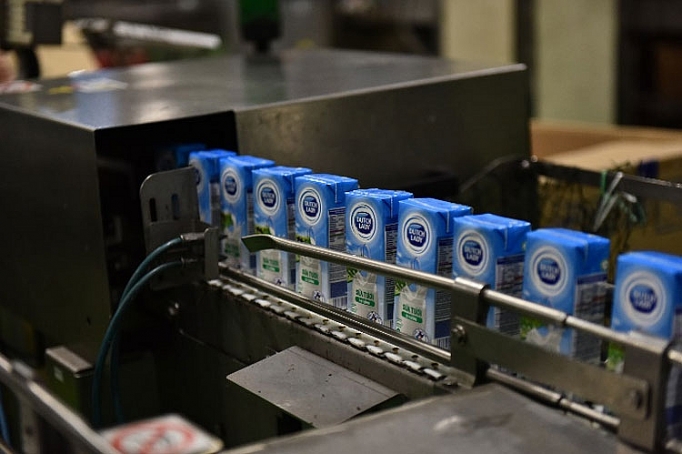 co gai ha lan 7 nguyen tac vang de mang den tung hop sua tuoi an toan va chat luong