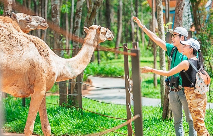 5 điểm check-in lãng mạn nhất tại nơi tổ chức đám cưới Đông Nhi – Ông Cao Thắng 5 diem check in lang man nhat tai noi to chuc dam cuoi dong nhi ong cao thang