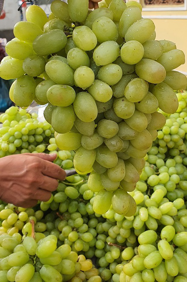 Nho xanh không hạt giá “siêu rẻ” bán tràn lan, người trồng nho ở Ninh Thuận nói gì? - 2