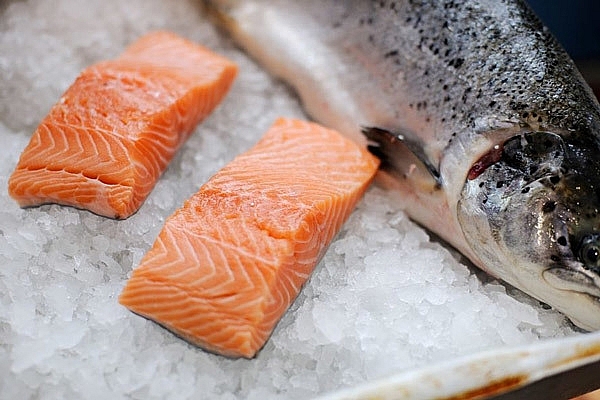 Sự thật nguồn gốc cá hồi siêu rẻ bán khắp chợ Sự thật nguồn gốc cá hồi siêu rẻ bán khắp chợ