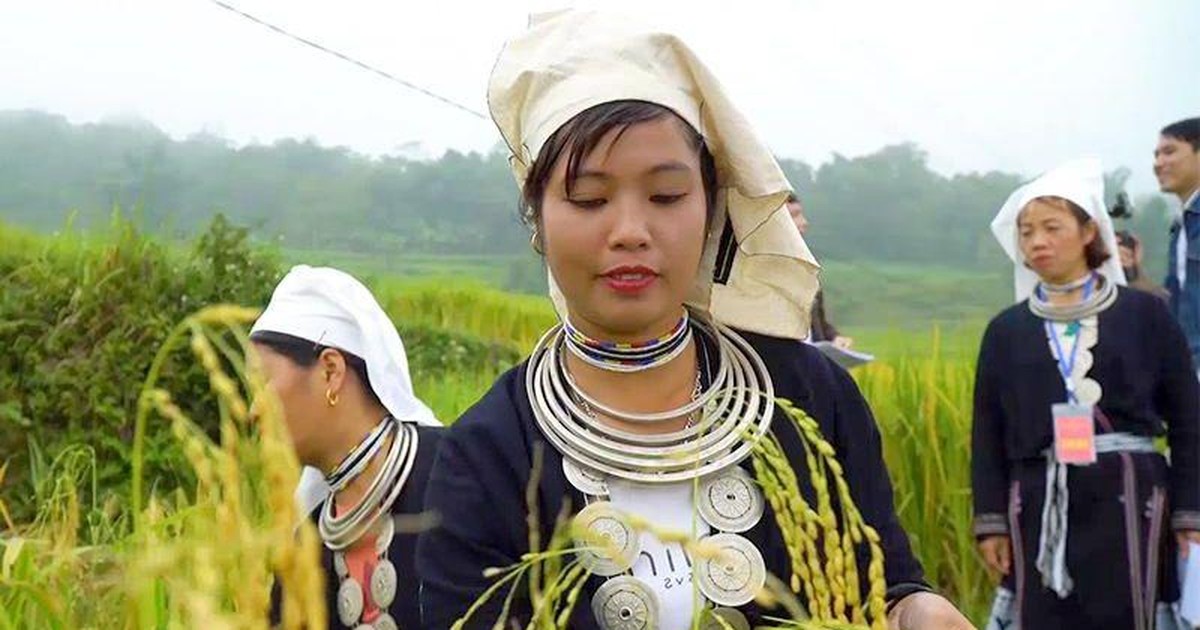 Lễ hội Mùa vàng Hồng Thái năm 2022 Lễ hội Mùa vàng Hồng Thái năm 2022