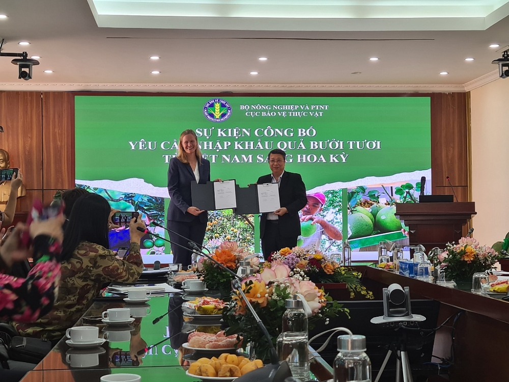 Bưởi là loại quả thứ 7 của Việt Nam được xuất khẩu sang Mỹ