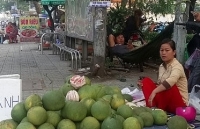 den luot buoi da xanh rot gia xuong via he ban