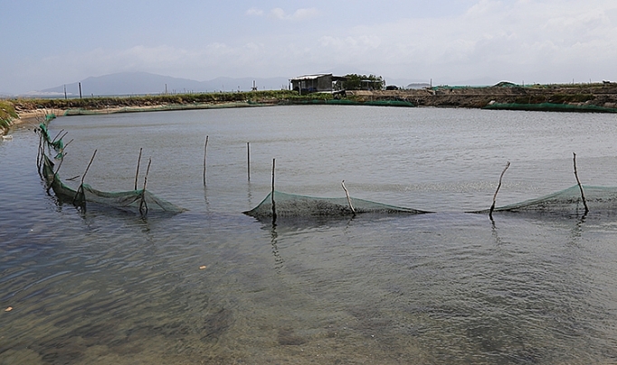 thuong lai lung mua oc huong ban sang trung quoc