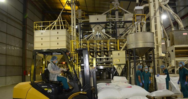 Cước vận chuyển tăng, doanh nghiệp xuất khẩu điêu đứng Cước vận chuyển tăng, doanh nghiệp xuất khẩu điêu đứng