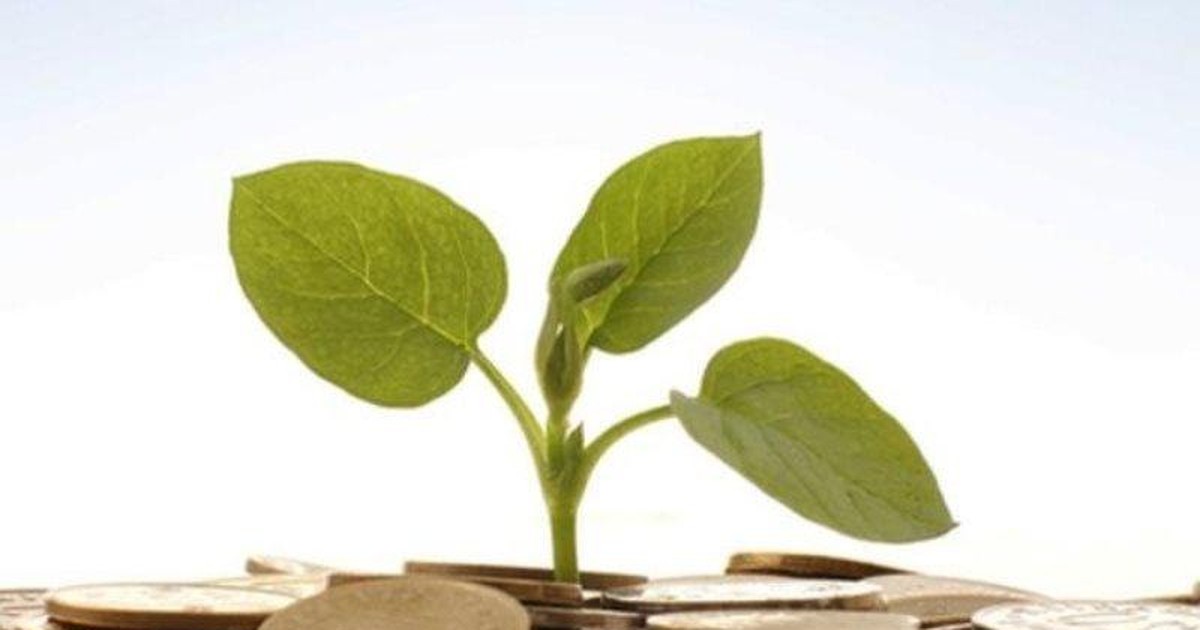 Các doanh nghiệp chốt trả cổ tức, tuần từ 28/11 đến 2/12 Các doanh nghiệp chốt trả cổ tức, tuần từ 28/11 đến 2/12