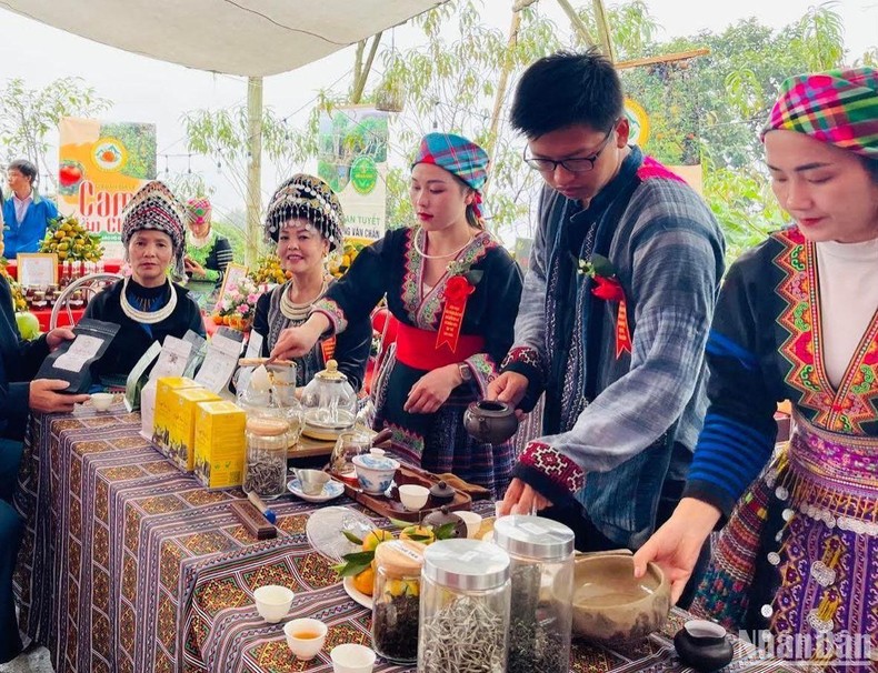 Yên Bái: Bảo hộ chỉ dẫn địa lý chè Shan tuyết Suối Giàng ảnh 1