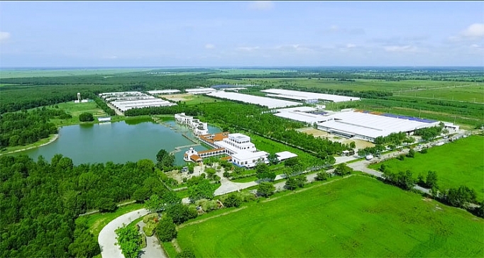 Bò sữa tại resort của Vinamilk cũng... "ăn Tết" bo sua tai resort cua vinamilk cung an tet